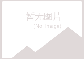 光山县映寒咨询有限公司